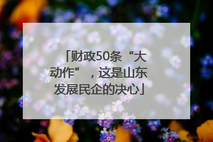 财政50条“大动作”，这是山东发展民企的决心