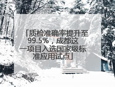 质检准确率提升至99.5%，成都这一项目入选国家级标准应用试点