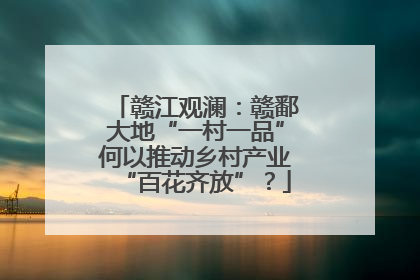 赣江观澜：赣鄱大地“一村一品”何以推动乡村产业“百花齐放”？