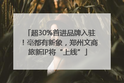超30%首进品牌入驻！亳都有新象，郑州文商旅新IP将“上线”