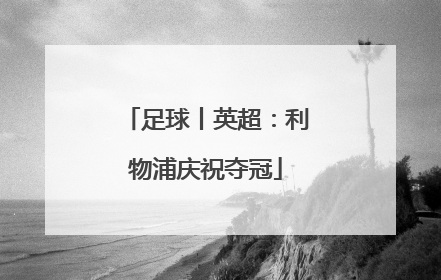 足球丨英超：利物浦庆祝夺冠