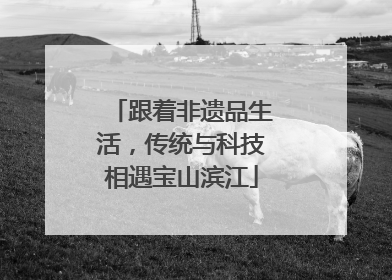 跟着非遗品生活，传统与科技相遇宝山滨江