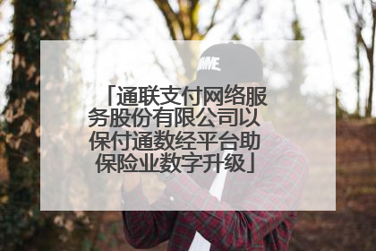 通联支付网络服务股份有限公司以保付通数经平台助保险业数字升级