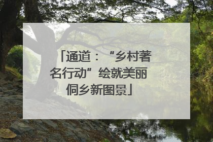通道：“乡村著名行动”绘就美丽侗乡新图景