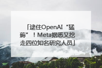 逮住OpenAI“猛薅”！Meta据悉又挖走四位知名研究人员