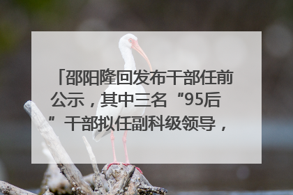 邵阳隆回发布干部任前公示，其中三名“95后”干部拟任副科级领导，均系硕士选调生