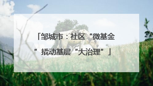 邹城市：社区“微基金”撬动基层“大治理”