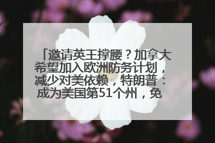 邀请英王撑腰？加拿大希望加入欧洲防务计划，减少对美依赖，特朗普：成为美国第51个州，免费用“金穹”