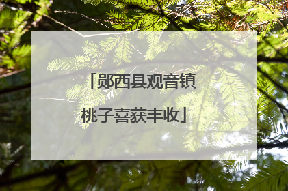 郧西县观音镇桃子喜获丰收