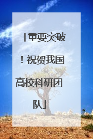 重要突破！祝贺我国高校科研团队