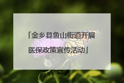 金乡县鱼山街道开展医保政策宣传活动