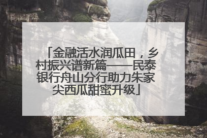 金融活水润瓜田，乡村振兴谱新篇——民泰银行舟山分行助力朱家尖西瓜甜蜜升级