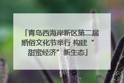 青岛西海岸新区第二届婚俗文化节举行 构建“甜蜜经济”新生态