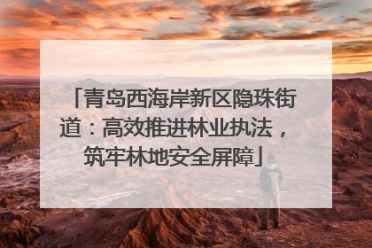 青岛西海岸新区隐珠街道：高效推进林业执法，筑牢林地安全屏障