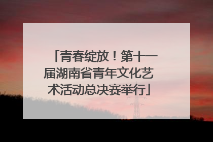 青春绽放！第十一届湖南省青年文化艺术活动总决赛举行