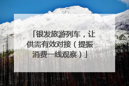 银发旅游列车，让供需有效对接（提振消费一线观察）