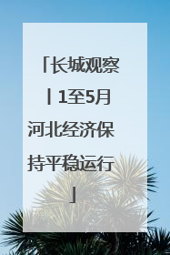 长城观察丨1至5月河北经济保持平稳运行