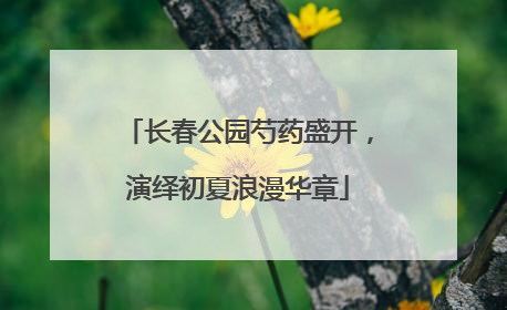 长春公园芍药盛开，演绎初夏浪漫华章