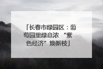 长春市绿园区：葡萄园里绿意浓 “紫色经济”焕新枝