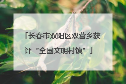 长春市双阳区双营乡获评“全国文明村镇”