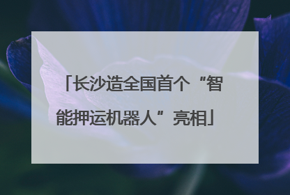 长沙造全国首个“智能押运机器人”亮相
