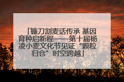 镰刀割麦话传承 基因育种启新程——第十届杨凌小麦文化节见证“颗粒归仓”时空跨越