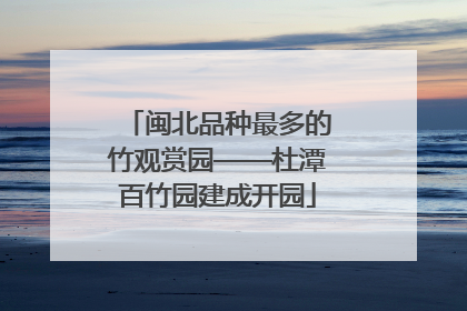 闽北品种最多的竹观赏园——杜潭百竹园建成开园