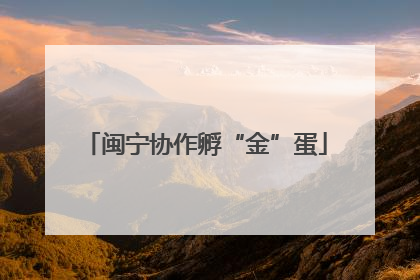 闽宁协作孵“金”蛋