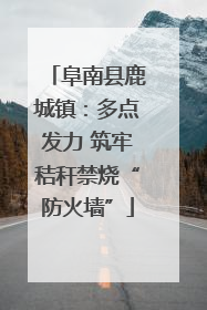 阜南县鹿城镇：多点发力 筑牢秸秆禁烧“防火墙”