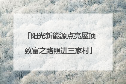 阳光新能源点亮屋顶 致富之路照进三家村