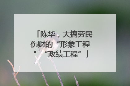 陈华，大搞劳民伤财的“形象工程”“政绩工程”