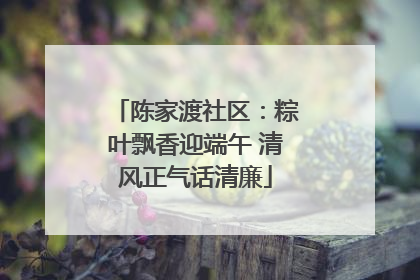 陈家渡社区：粽叶飘香迎端午 清风正气话清廉