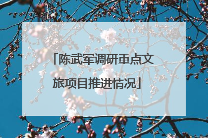 陈武军调研重点文旅项目推进情况