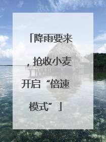 降雨要来，抢收小麦开启“倍速模式”