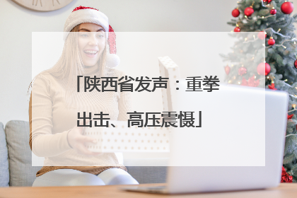 陕西省发声：重拳出击、高压震慑