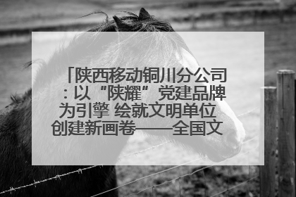 陕西移动铜川分公司：以“陕耀”党建品牌为引擎 绘就文明单位创建新画卷——全国文明单位创建纪实