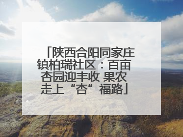 陕西合阳同家庄镇柏瑞社区：百亩杏园迎丰收 果农走上“杏”福路