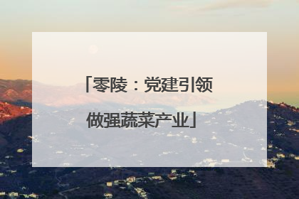 零陵：党建引领 做强蔬菜产业