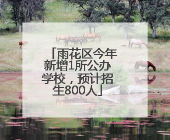 雨花区今年新增1所公办学校，预计招生800人