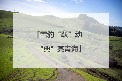 雪豹“跃”动 “典”亮青海