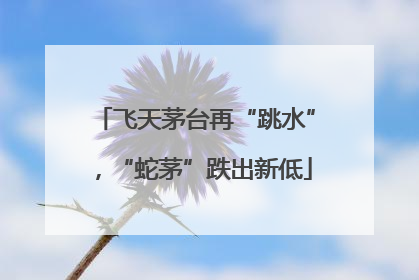 飞天茅台再“跳水”，“蛇茅”跌出新低