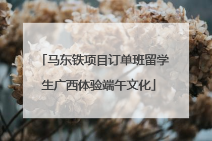 马东铁项目订单班留学生广西体验端午文化
