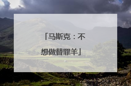马斯克：不想做替罪羊