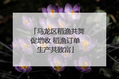 马龙区稻渔共舞促增收 稻渔订单生产共致富