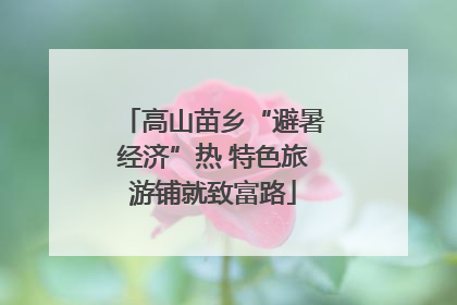 高山苗乡“避暑经济”热 特色旅游铺就致富路
