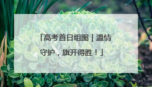 高考首日组图｜温情守护，旗开得胜！