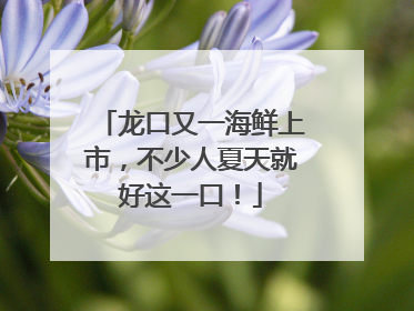 龙口又一海鲜上市，不少人夏天就好这一口！