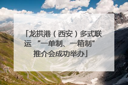 龙拱港（西安）多式联运 “一单制、一箱制” 推介会成功举办