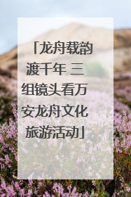 龙舟载韵渡千年 三组镜头看万安龙舟文化旅游活动