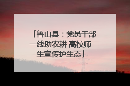 鲁山县：党员干部一线助农耕 高校师生宣传护生态